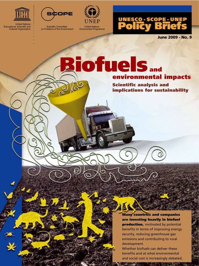 Policy Brief No. 9: Biofuels and Environmental Impact  - Scientific Analysis and Implications for Sustainability