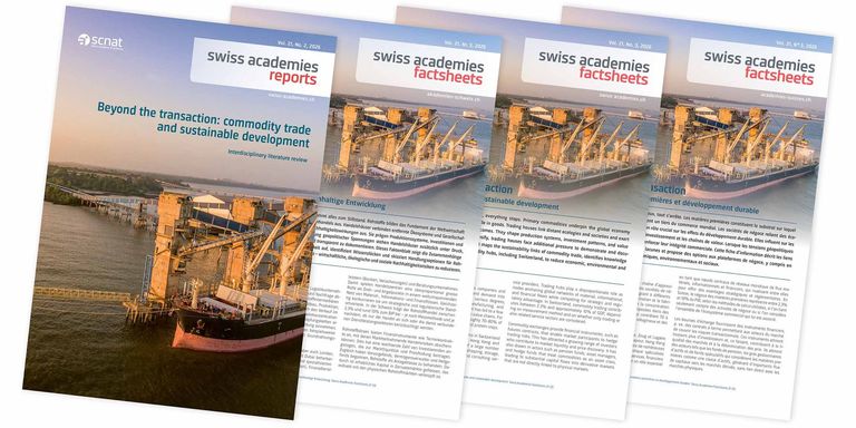 Cover report "Beyond the transaction: Commodity trade and sustainable development" Cover report "Beyond the transaction: Commodity trade and sustainable development"
