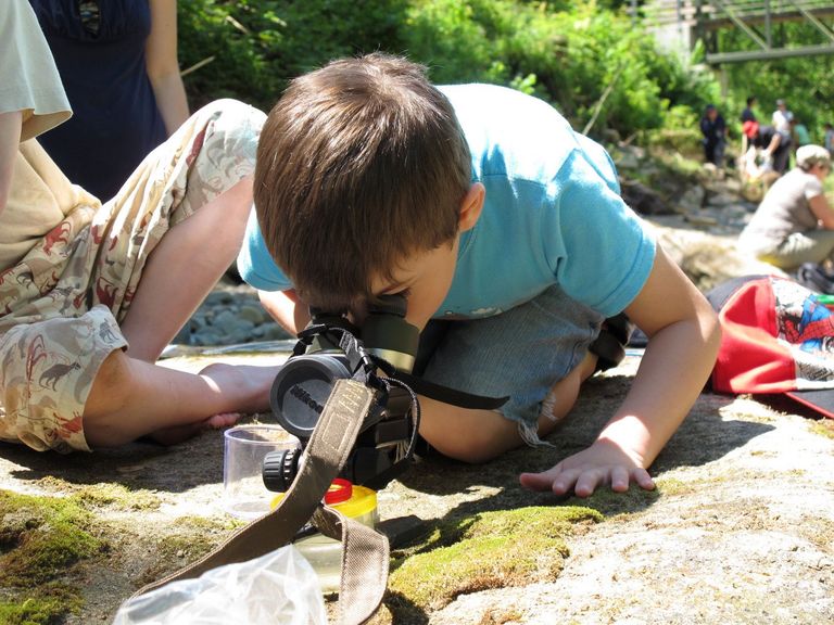 Kinder untersuchen die Gewässertiere