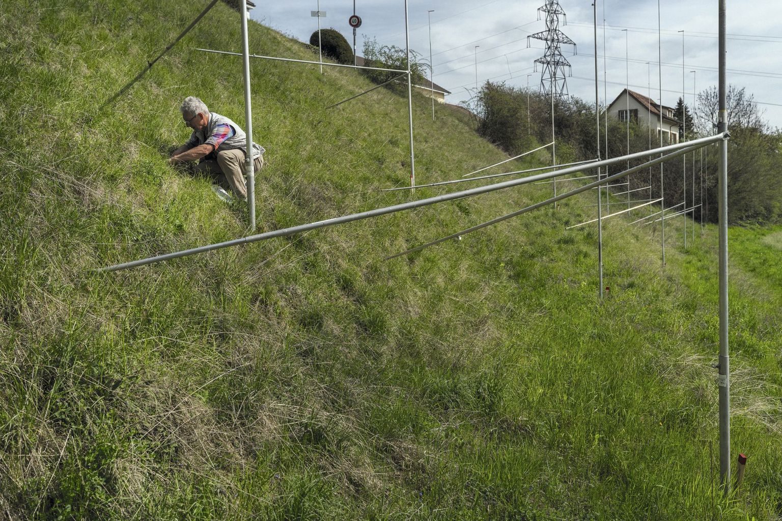 Artenforscherinnen und Artenforscher auf der Suche nach den letzten Überlebenden Artenforscherinnen und Artenforscher auf der Suche nach den letzten Überlebenden