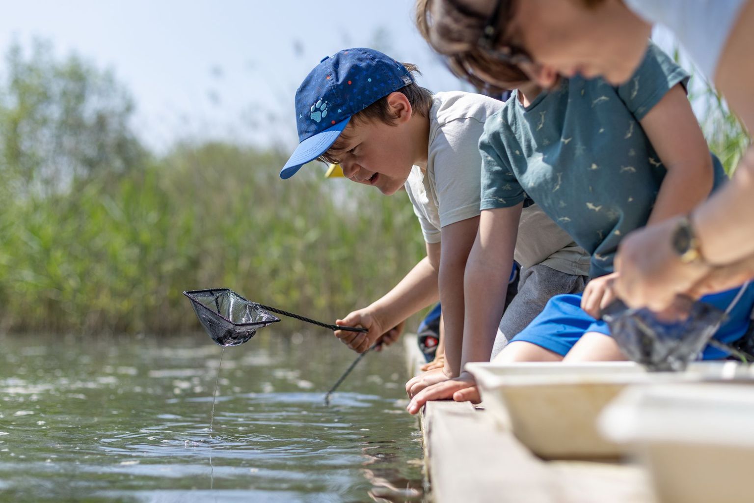 Festival der Natur- «Biodiversität und Geologie in der Kiesgrube» Bild 1 Festival der Natur- «Biodiversität und Geologie in der Kiesgrube» Bild 1