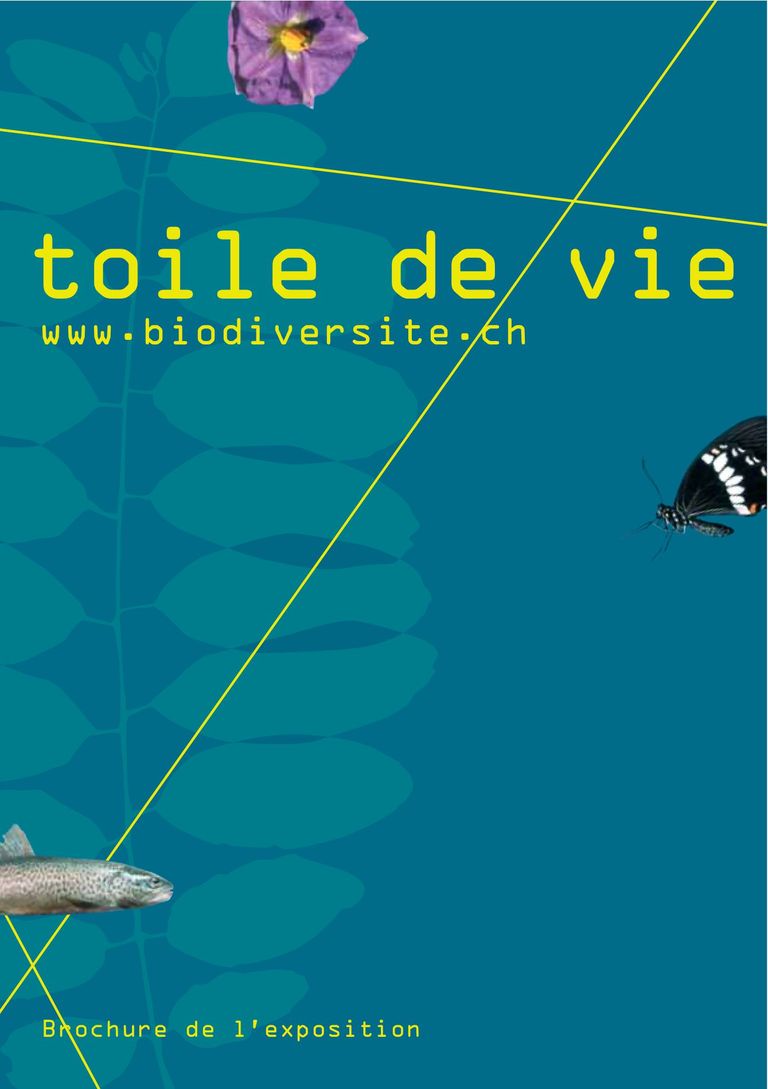 Exposition "toile de vie!" 2006 – 2010