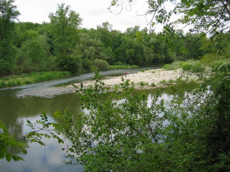 Zusammenfluss von Aare und Reuss Zusammenfluss von Aare und Reuss