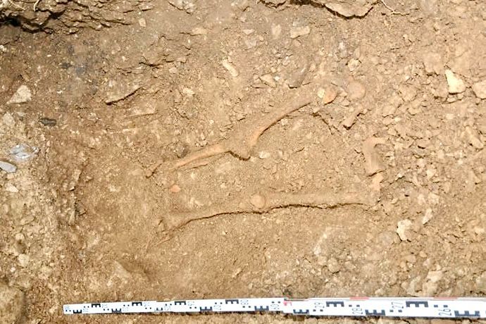 Was geschah in diesem Garten in der Gemeinde Wintersingen? Was geschah in diesem Garten in der Gemeinde Wintersingen?