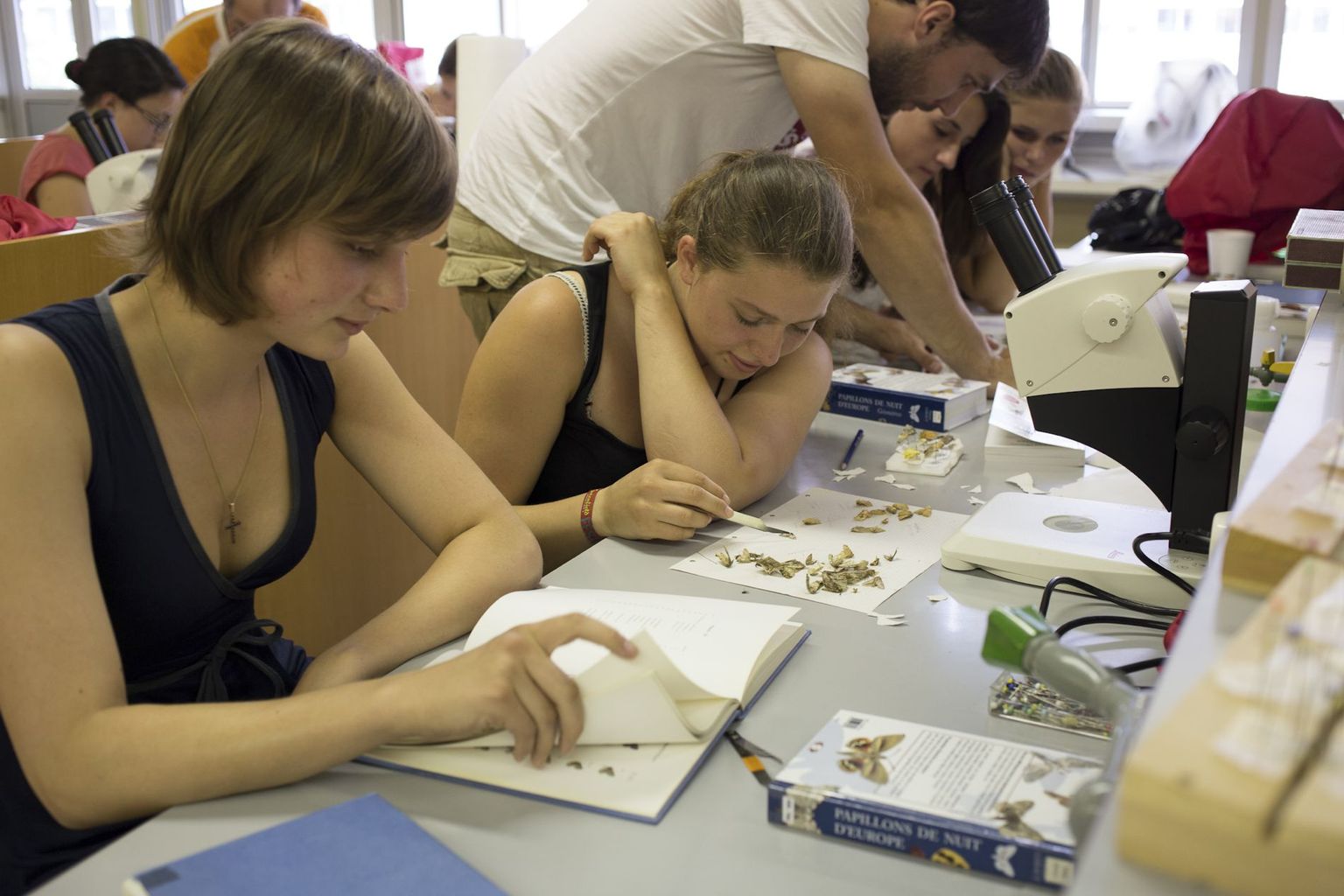 Summer school 2013 (plate-forme Biologie) Summer school 2013 (plate-forme Biologie)