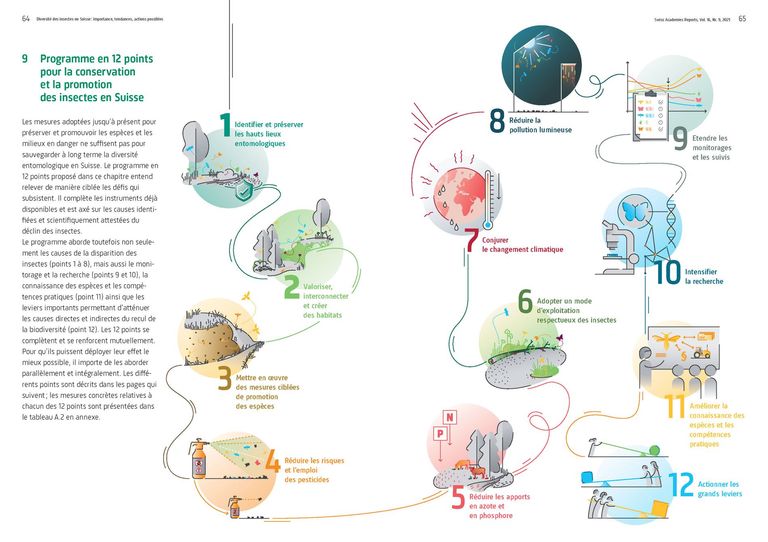 Programme en 12 points pour la conservation et la promotion des insectes en Suisse Programme en 12 points pour la conservation et la promotion des insectes en Suisse