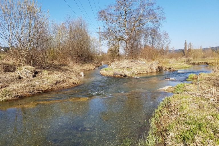 Wiko Revit Wiko Revit