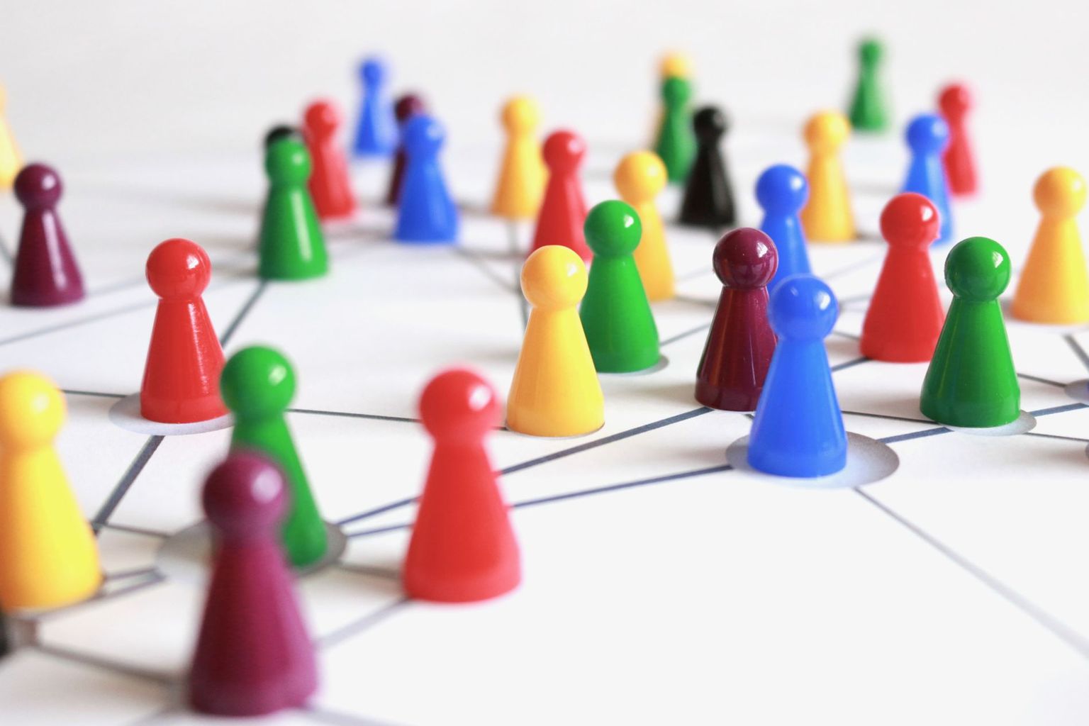 Transdisciplinarité Transdisciplinarité