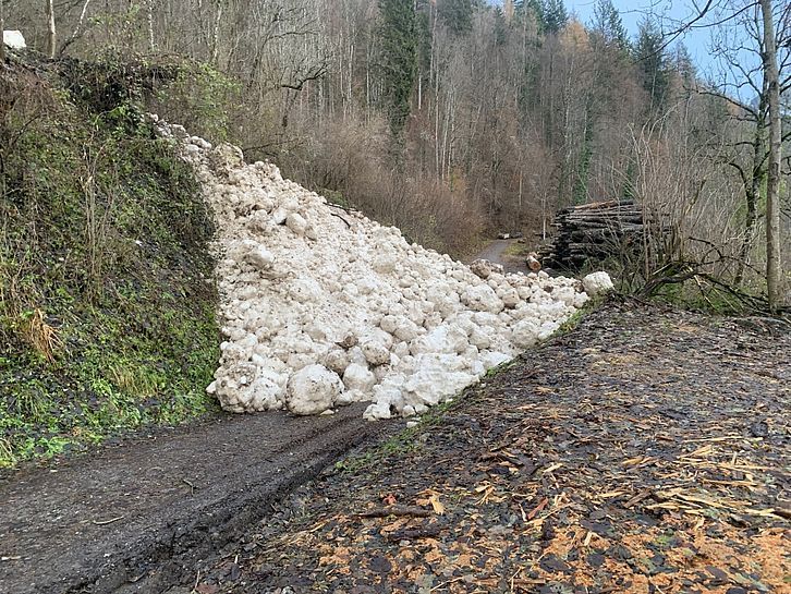 Lawine im Grünen ( N. Hildebrand) Lawine im Grünen ( N. Hildebrand)