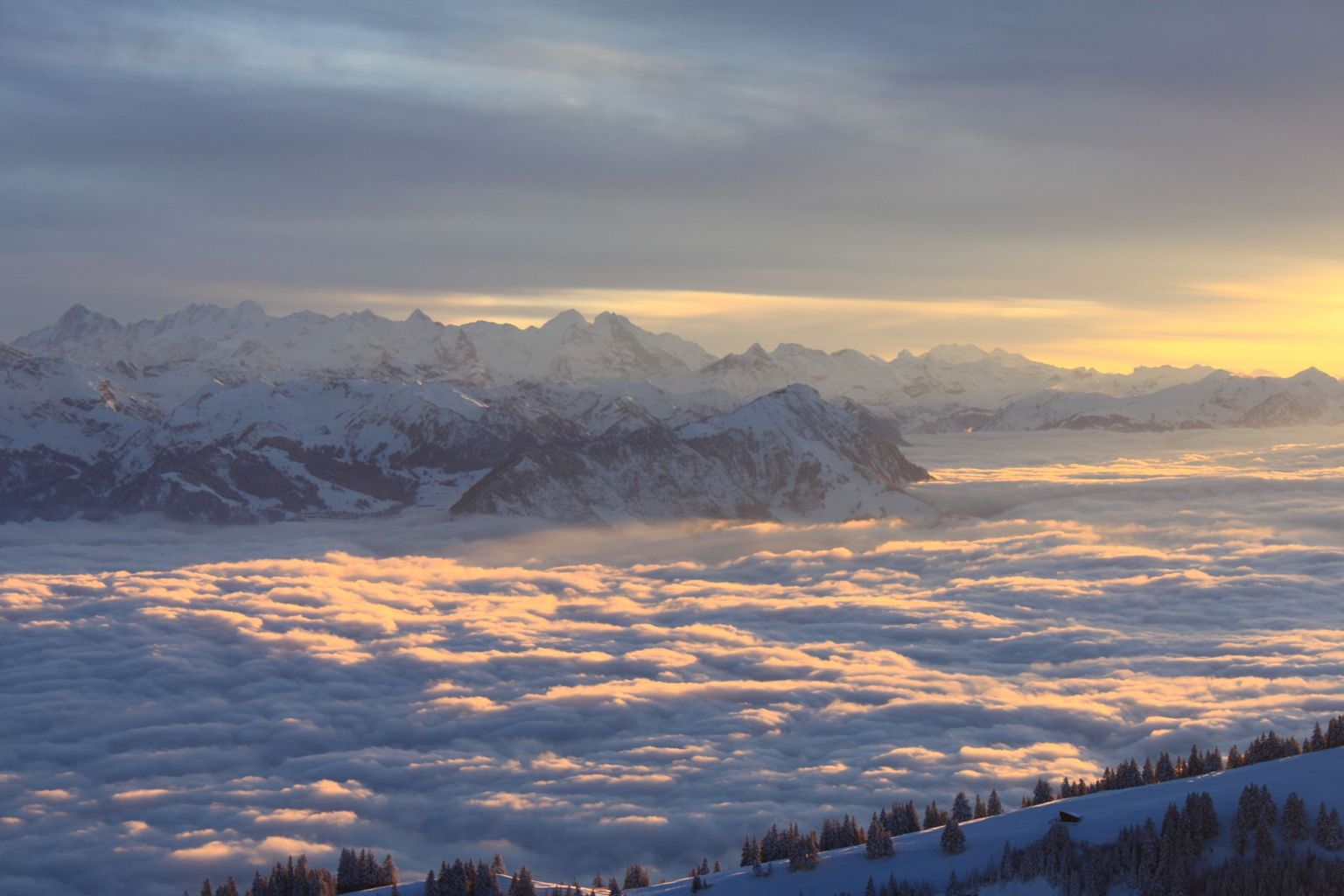 rigi view 4 rigi view 4