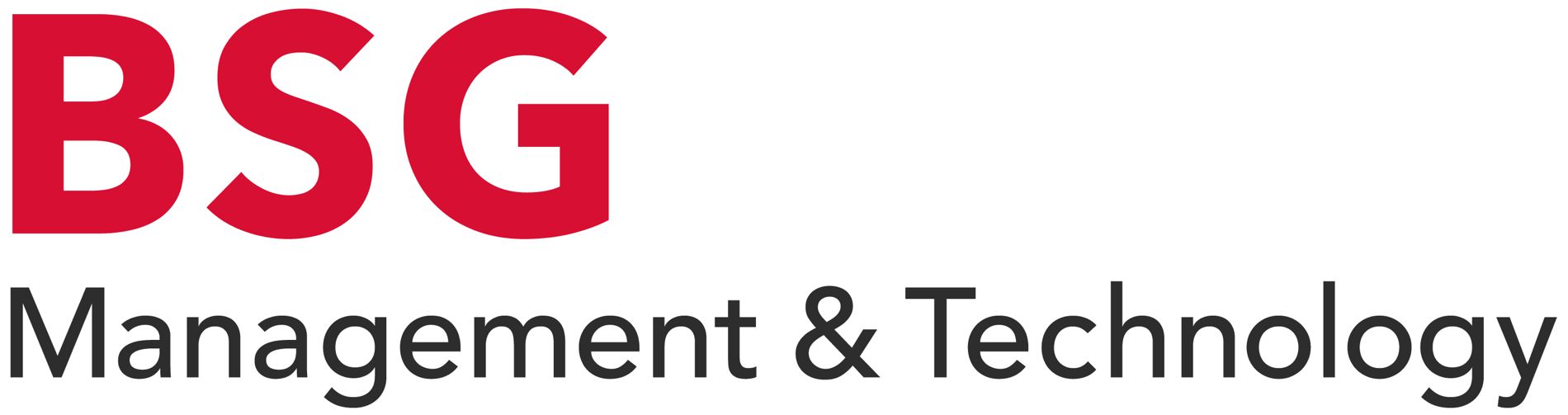 BSG Unternehmensberatung AG Logo-BSG