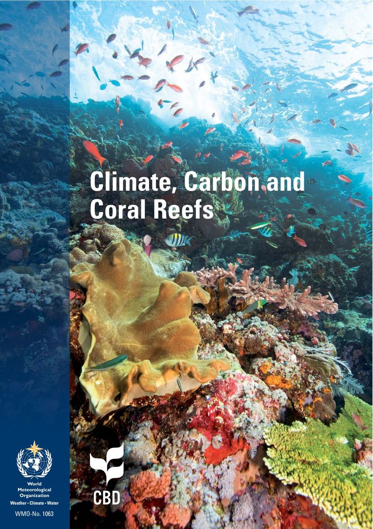 Climate, Carbon and Coral Reefs