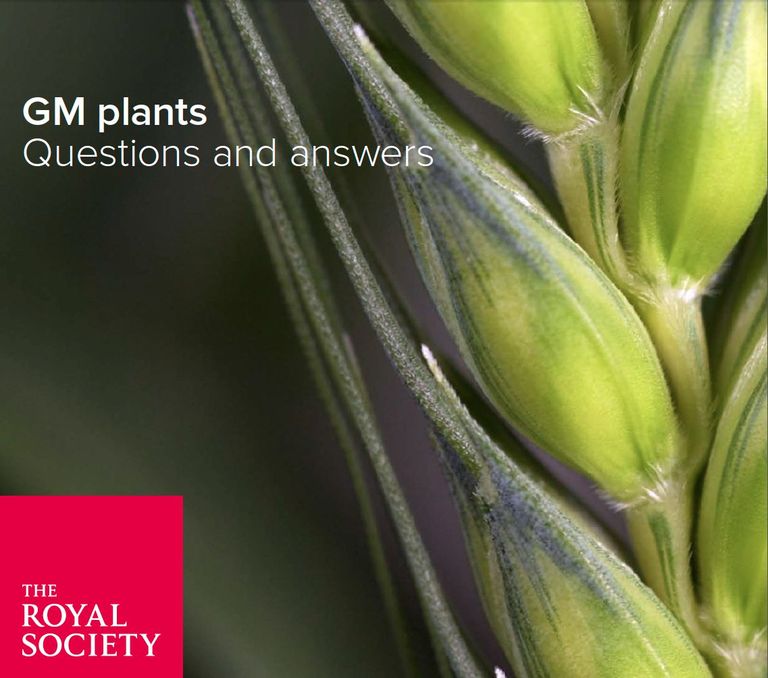 Genetically modifiedplants: questions and answers