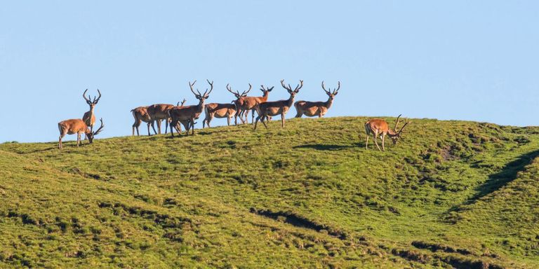 Teaser Geführte Wanderungen SNP Teaser Geführte Wanderungen SNP