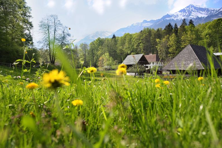 Die Kulturlandschaft im Freilichtmuseum Ballenberg soll in Zukunft noch mehr Lebensräume für Tiere und Pflanzen bieten Die Kulturlandschaft im Freilichtmuseum Ballenberg soll in Zukunft noch mehr Lebensräume für Tiere und Pflanzen bieten