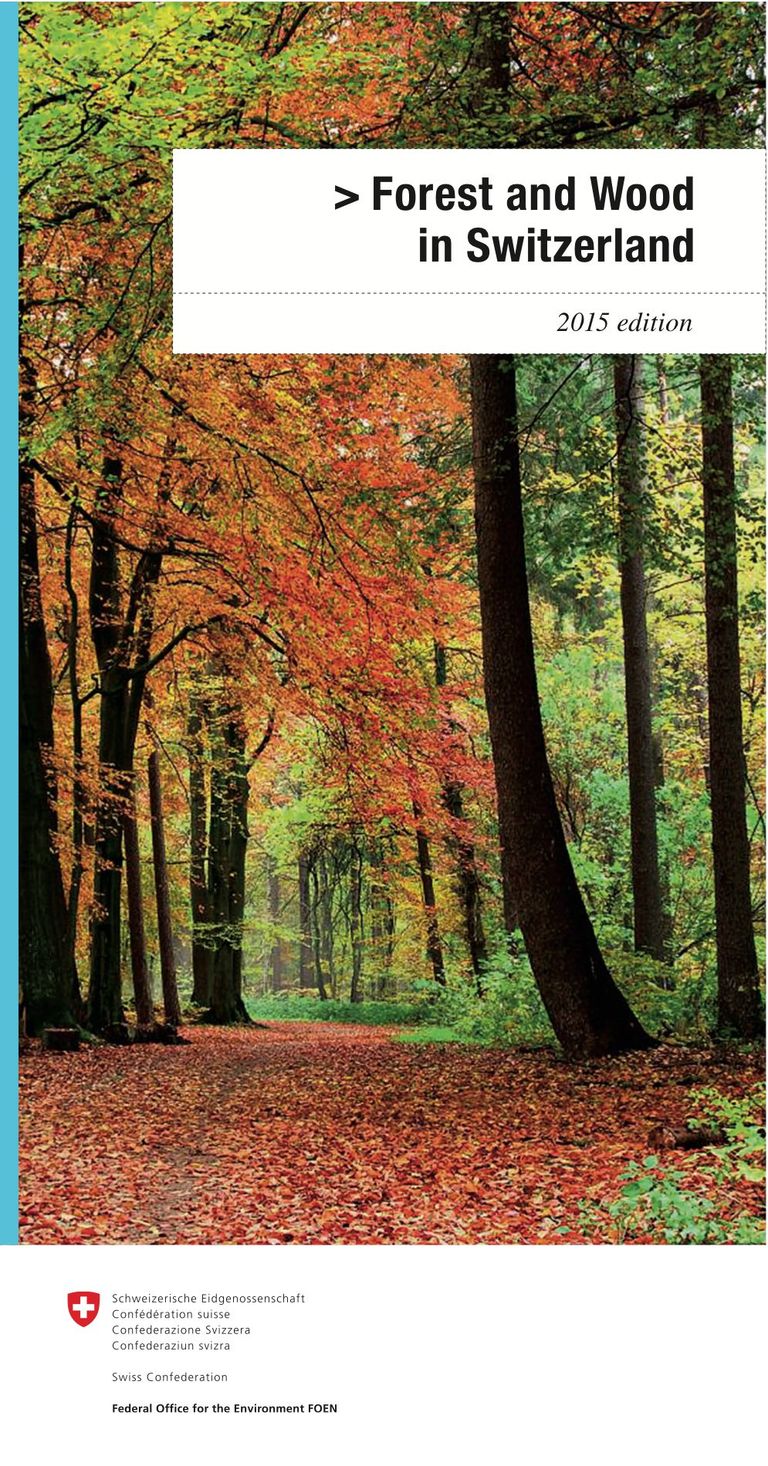 Download Forest and Wood in Switzerland. 2015 edition: Forest and Wood in Switzerland