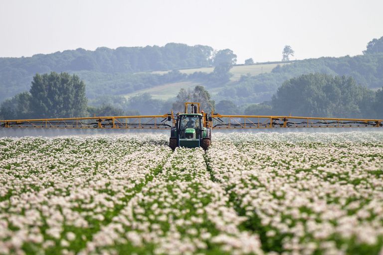 Notre agriculture intensive pratique de plus en plus la monoculture et l'usage de produits chimiques et d'OGMs.
