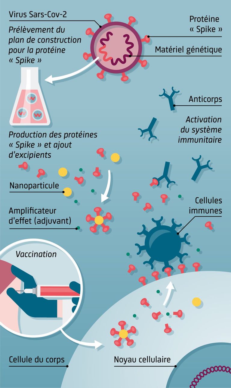 Vaccins à protéines Vaccins à protéines