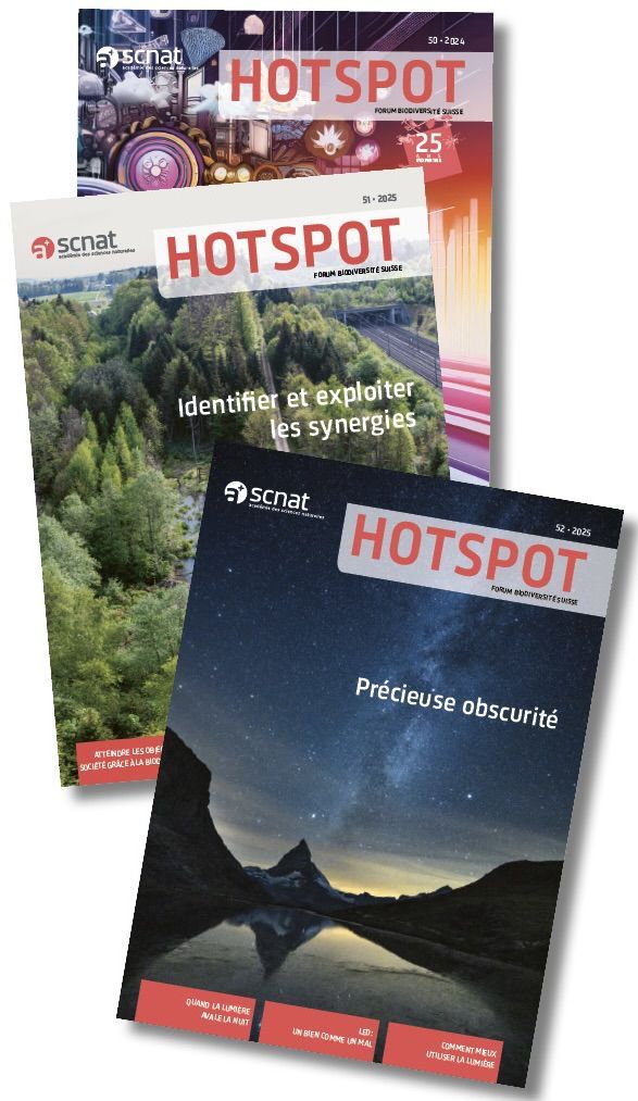 Titelseiten HOTSPOT 51,52 & 53 Titelseiten HOTSPOT 51,52 & 53