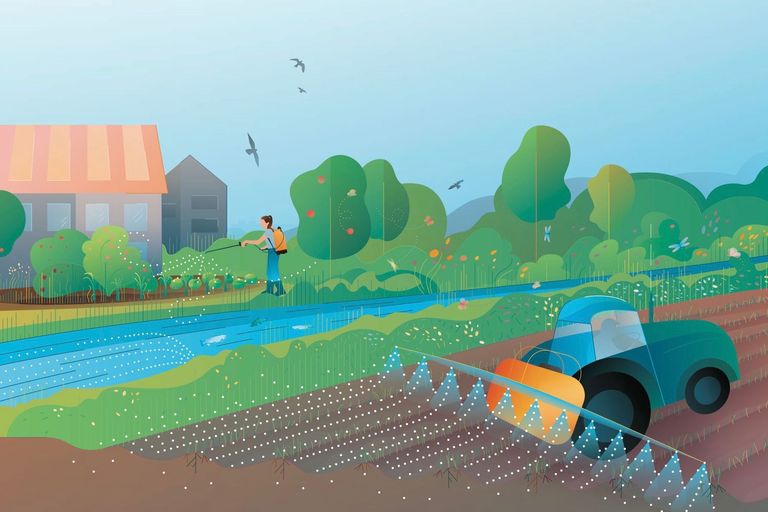 Pestizide: Auswirkungen auf Umwelt, Biodiversität und Ökosystemleistungen Pestizide: Auswirkungen auf Umwelt, Biodiversität und Ökosystemleistungen