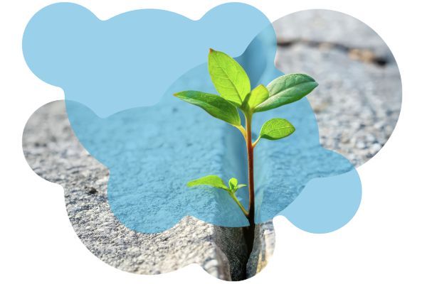 Förderprogramm Anpassung an den Klimawandel - Adapt+ Förderprogramm Anpassung an den Klimawandel - Adapt+