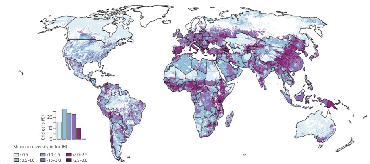 Globale räumliche Verteilung der Artenvielfalt von Nutzpflanzen und Nutztieren, gemessen am Shannon-Index. Höhere Indexwerte entsprechen einem höheren Grad an Agrobiodiversität. (Daten aus dem Jahr 2005, Karte aus Herrero et al. 2017) Globale räumliche Verteilung der Artenvielfalt von Nutzpflanzen und Nutztieren, gemessen am Shannon-Index. Höhere Indexwerte entsprechen einem höheren Grad an Agrobiodiversität. (Daten aus dem Jahr 2005, Karte aus Herrero et al. 2017)