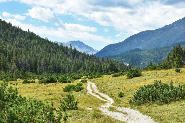 LABES_Flyer LABES_Flyer