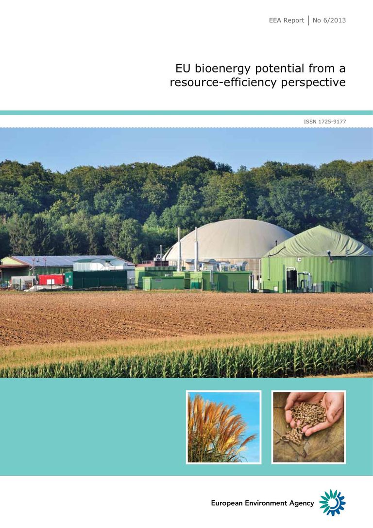 EEA Report No 6/2013: EU bioenergy potential from a resource efficiency perspective