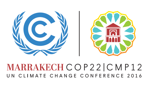 COP 22