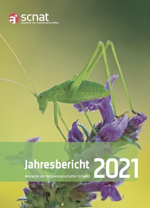 Jahresbericht 2021 Jahresbericht 2021