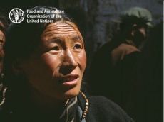Mapping the vulnerability of mountain peoples to food insecurity (FAO-report, 2015)