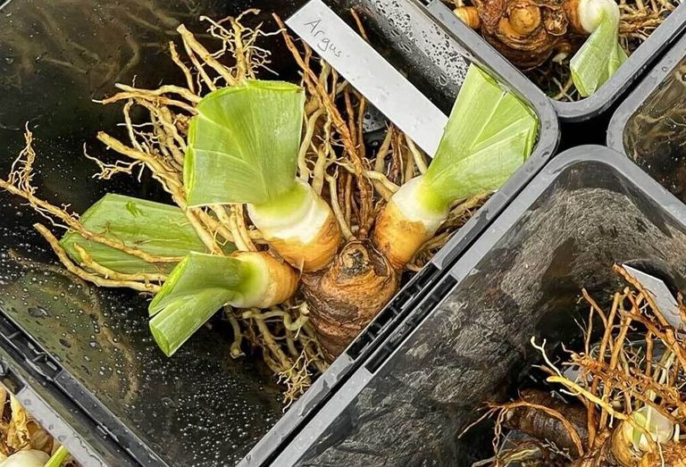 Teaser Merian Gärten Teaser Merian Gärten