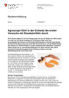 Teaser: Agroscope führt in der Schweiz die ersten Versuche mit Süsskartoffeln durch