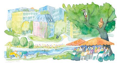 Teaser: Biodiversität im Siedlungsraum Teaser: Biodiversität im Siedlungsraum