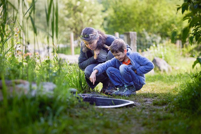 Teaser Festival der Natur «Biodiversität und Geologie in der Kiesgrube».jpg Teaser Festival der Natur «Biodiversität und Geologie in der Kiesgrube».jpg