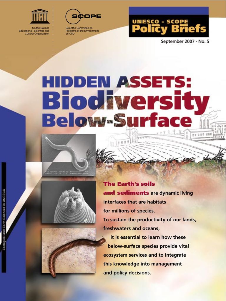 Hidden Assets: Biodiversity Below-Surface