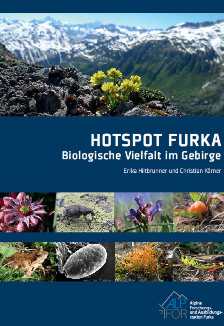 Hotspot Furka. Biologische Vielfalt im Gebirge