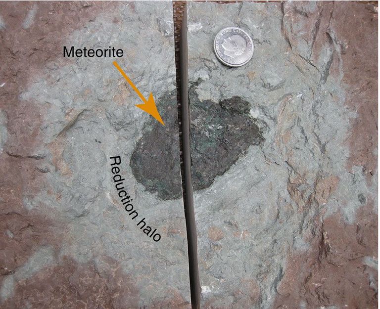 The meteorite is 8 × 6.5 × 2 cm large. It is surrounded by a grey reduction halo, in the otherwise red limestone. Oxygen was consumed when the meteorite weathered on the sea floor. The coin in the image has a diameter of 2.5 cm