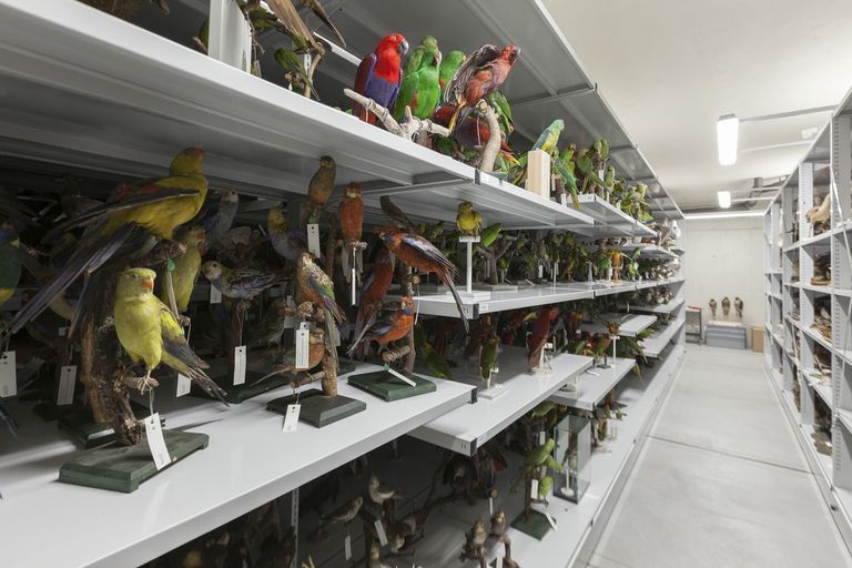 Teaser Entdecken Sie unsere verborgenen Schätze Teaser Entdecken Sie unsere verborgenen Schätze