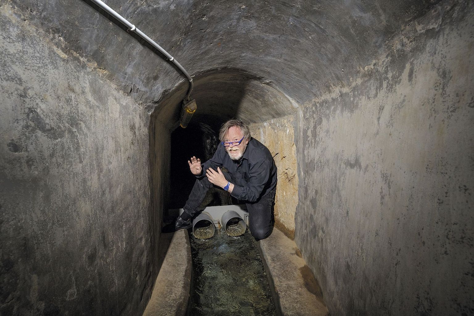 Artenforscherinnen und Artenforscher auf der Suche nach den letzten Überlebenden Artenforscherinnen und Artenforscher auf der Suche nach den letzten Überlebenden