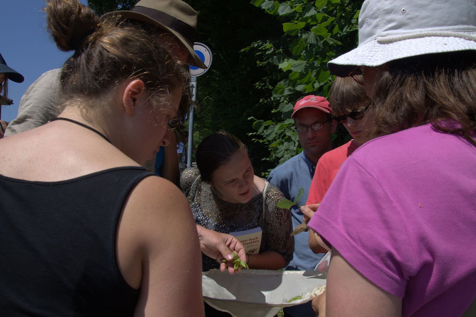 Summer school 2013 (plate-forme Biologie) Summer school 2013 (plate-forme Biologie)