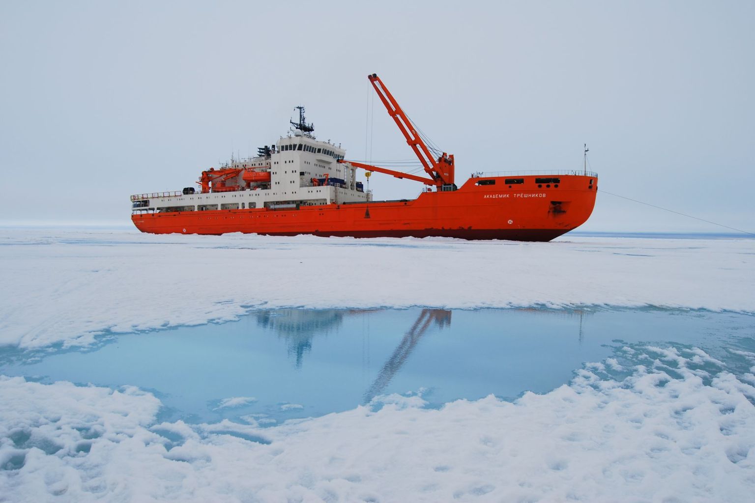 Das russische Forschungsschiff «Akademik Tryoshnikov», mit dem die ACE-Expedition die Antarktis umrunden wird. Das russische Forschungsschiff «Akademik Tryoshnikov», mit dem die ACE-Expedition die Antarktis umrunden wird.
