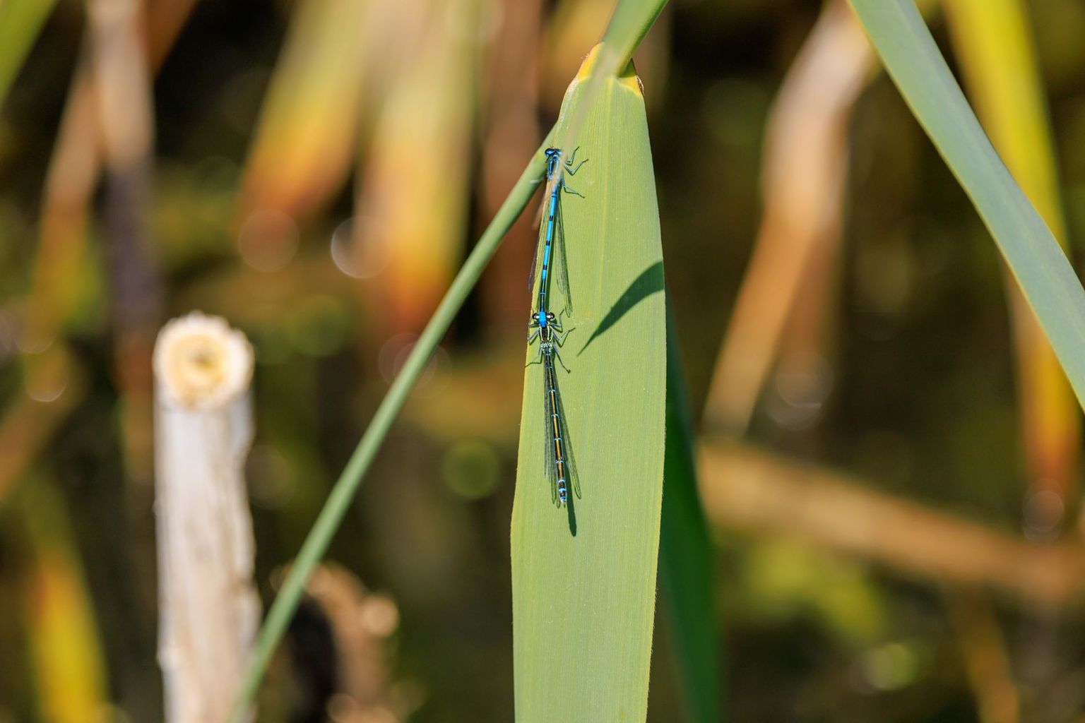 NGT - Lernort Kiesgrube 07 NGT - Lernort Kiesgrube 07
