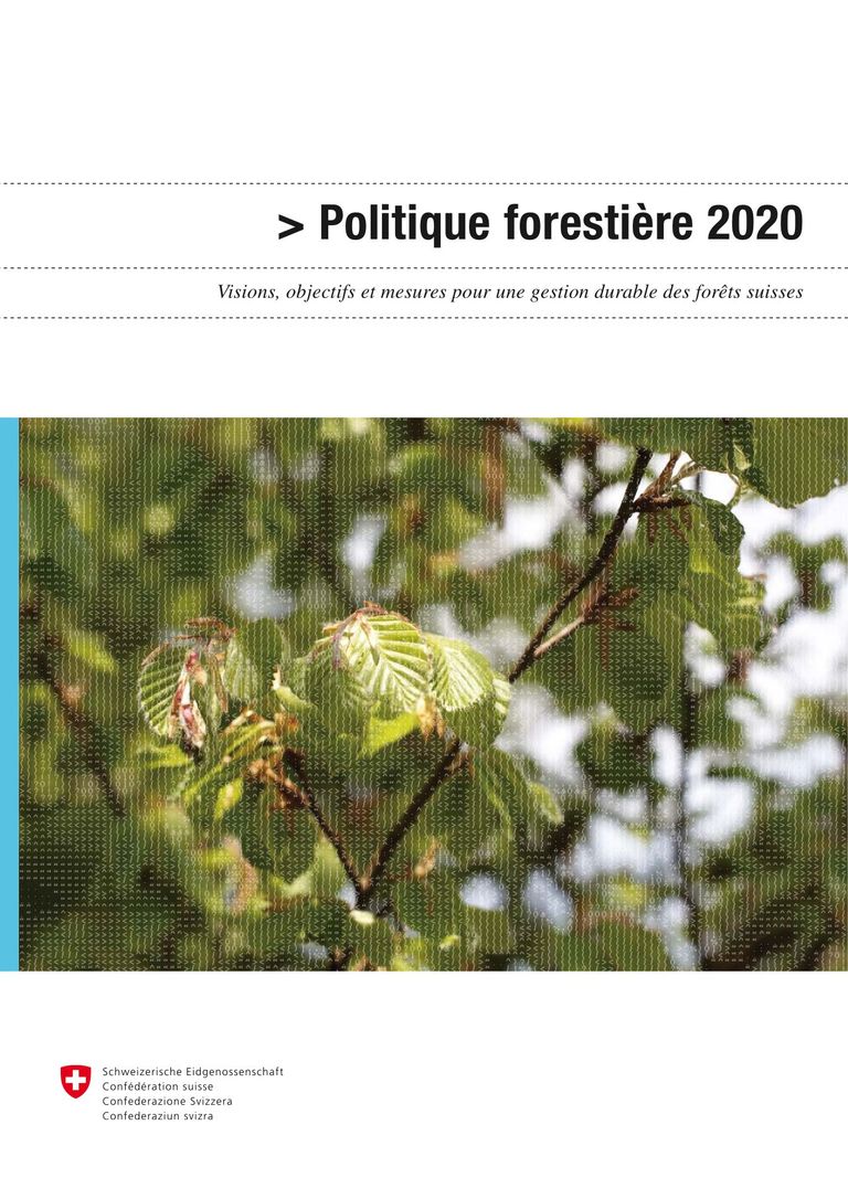Télécharger le rapport Politique forestière 2020: Politique forestière 2020