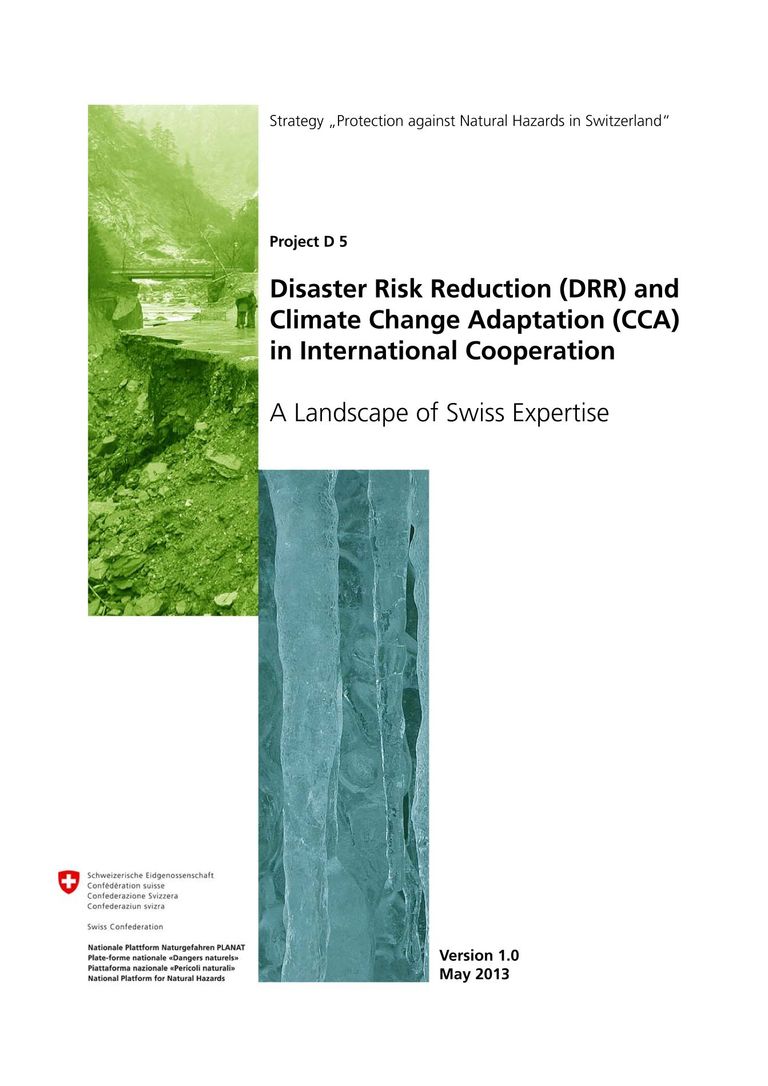 briefing report: Disaster Risk Reduction and Climate Change Adaptation in International Cooperation