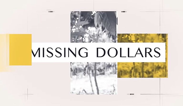 “Missing Dollars” – a Documentary on Illicit Financial Flows