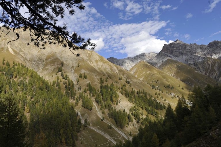 Le Parc national suisse Le Parc national suisse