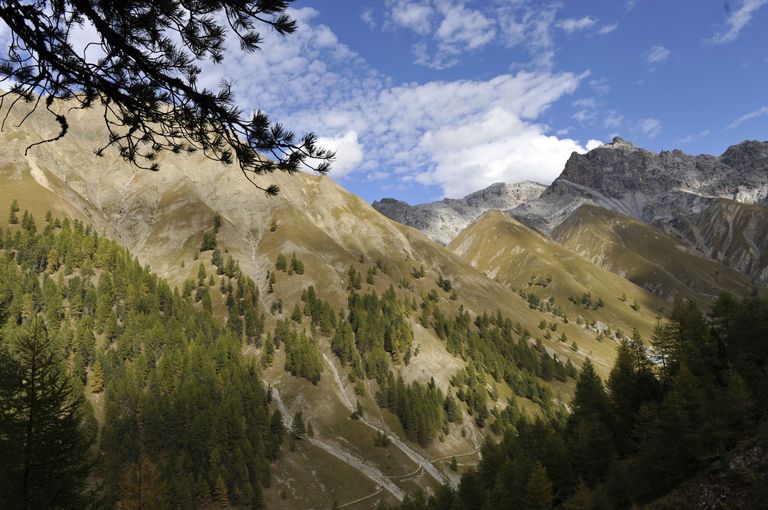 Le Parc national suisse Le Parc national suisse