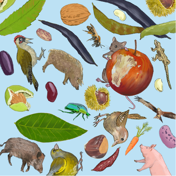 Titelbild in der App "Biodivers" Titelbild in der App "Biodivers"