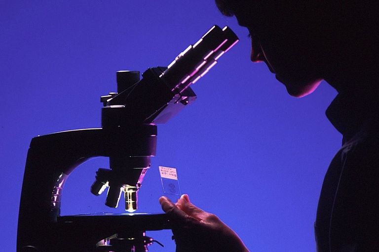 Microscope Microscope